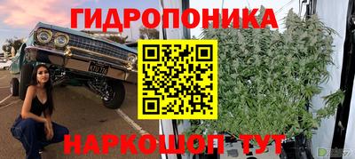 гашик Конаково