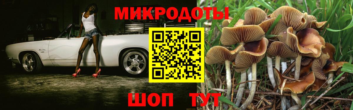 Кирово-Чепецк  Псилоцибиновые грибы Psilocybine cubensis  Галлюциногенные грибы Cubensis  Вход с VPN 